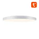 Умный потолочный светильник Gosund LB11 32см WiFi/Bluetooth RGBCW 1920lm с пультом