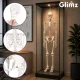 Cilvēka skeleta anatomiskais modelis Glimz, 170 cm, mērogs 1:1, ar statīvu