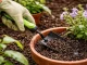 Garden Tool Set: Pruning Shears, Hoe, Trowel + Bag (3 pcs)