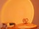 Sunset Lamp Projector with Sunrise Effect, RGB LED Mood Light with Remote, USB