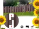 Dārza Palisāde Puķu Dobes Žogs Apmale 215cm, 8 elementi | Garden Palisade Flowerbed Barrier