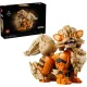 LEGO Pokémon 72160 Arcanine konstruktors (1190 detaļas)