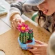 LEGO Botanicals 11509 Цветущий кактус