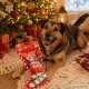 Праздничный набор игрушек для собак, 3 шт.