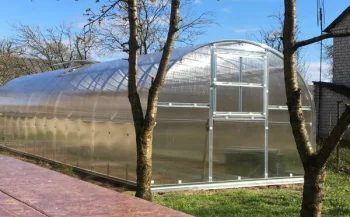 Теплица Кlasika 30 (3X10M) С Фундаментом И Покрытием Из Поликарбоната...
