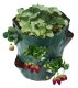 Strawberry Planting Bag, Green