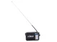 Портативный радиоприемник RDD RD-306 FM / AM / SW с LED-фонариком, черный