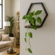 Hexagon Wall Shelf Floating Plant Stand ModernHome Industrial Loft Decor