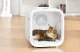 Умная сушилка для питомцев Catlink Standard CL-DA-01