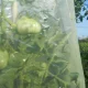Cauruļveida aizsargplēve tomātiem MR. TOMATO, 0,6 x 10 m, dzeltena