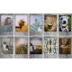 Fujifilm Instax Mini Film Stone Grey Frame Instant Film (10 pc.)