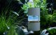Smartmi Rainforest Humidifier | Увлажнитель воздуха