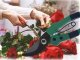 Garden pruner for grafting trees and shrubs green, 18x11 cm