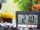 Digitālais termometrs ar zondi akvārijam, ledusskapim un terārijam, 100 cm vads
