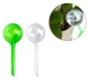 Plant Watering Globes, Set of 2, White and Green