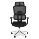 ModernHome Ergonomic Office Chair with Adjustable Headrest and Lumbar Support, Black
