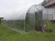 Теплица Кlasika 24 (3X8M) С Фундаментом И Покрытием Из Поликарбоната...