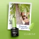 Гель-лак Claresa Summer Stories 3, зеленый, 5 г