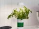 Augu audzēšanas LED lampa ar pašlaistošu podiņu, 5W, balta