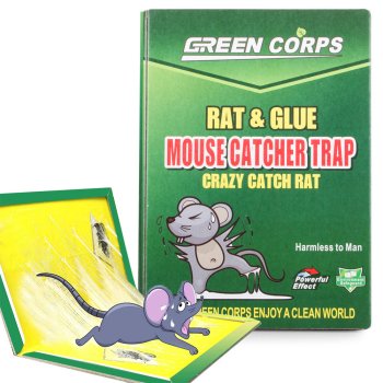 Glue Trap Mouse 24Cm