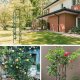 Kolonnveida dārza pergola ziediem | Column Pergola for Garden and Home
