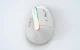Bezvadu vertikālā pele Delux M618C 2.4G 1600DPI RGB (balta) | Wireless Vertical Mouse (white)