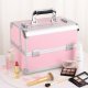Cosmetic Case CA34C, Silver-Pink