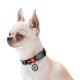 Waudog Nylon Dog collar with QR code size XL, NASA