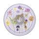 Popsockets PlantCore satvērējs Purple Fields tālruņa turētājs un statīvs – caurspīdīgs