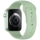 Tech-Protect Silicone siksniņa Apple Watch 40/41/42 mm, gaiši zaļa