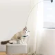 Удочка Игрушка \"Птичка \" для Кошек На Присоске | Fishing Rod With Suction Cup...
