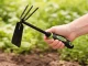 Garden Hoe & Rake 2-in-1, 30cm, Black/Green