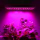 225 LED Lamp Panel for Plant Growth Gardening