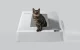 Kaķu tualetes vāks Petkit Front Entry Hood priekš Purobot Crystal Duo