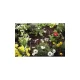 Gardena Micro-Drip-System Drip Tube 4.6 mm, 15 m, Black