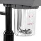 Giovanni D-21 Facial Steamer with Magnifying Lamp, Black