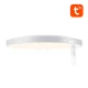 Умный потолочный светильник Gosund LB11 32см WiFi/Bluetooth RGBCW 1920lm с пультом