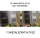 Водяная штора-дымка XXL 10 м с 11 распылителями, черная