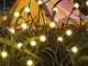 Solar Garden Lights with LED Balls, 2 Pcs, 70 cm