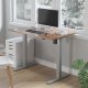Ergo Office ER-403G elektriski regulējams galda rāmis (bez virsmas), pelēks