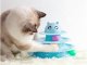 Интерактивная игрушка для кошек трек с 3 шариками