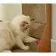 Stūra skrāpis ar rotaļlietu kaķiem, vertikāls kartona kaķu nagu asināmais Purlov | Cat Corner Scratcher with Toy
