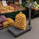 Платформенные весы с ЖК-дисплеем, 100 кг, серые