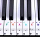 Klaviatūras notu uzlīmes, lai mācītos spēlēt | Stickers of notes on keys for learning to play