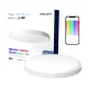 Yeelight Arwen Ceiling Light 450S viedais griestu gaismeklis