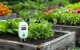 Smart WiFi Soil Moisture Meter RainPoint HCS026FRF App Control