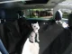 Защитный Коврик для Автомобильных Сидений для Собак, Чёрный | Car...