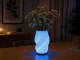 Настольная лампа и ваза 2-в-1 LED RGB с пультом, Ecru