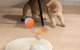 Rojeco Sensor Play Ball Toy for Dog Cat, Orange