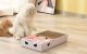 Petwant T3-B Gudrā Mājdzivnieku Kaķu Rotaļlieta Manta Spalva priekš Spēlēm, Balta | Smart Intelligent Cat Dog Toy